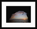 Young Man Diving into Sea at Pirate's Cave by Anonymous