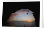 Young Man Diving into Sea at Pirate's Cave by Anonymous