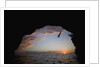 Young Man Diving into Sea at Pirate's Cave by Anonymous