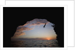 Young Man Diving into Sea at Pirate's Cave by Anonymous