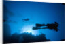 Scuba Divers Swimming near Reef by Anonymous