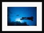 Scuba Divers Swimming near Reef by Anonymous