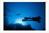 Scuba Divers Swimming near Reef by Anonymous