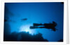 Scuba Divers Swimming near Reef by Anonymous