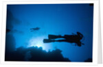 Scuba Divers Swimming near Reef by Anonymous
