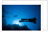 Scuba Divers Swimming near Reef by Anonymous