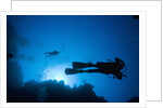Scuba Divers Swimming near Reef by Anonymous