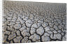 Dry Lake Bed at the Booby Pond Nature Reserve by Anonymous
