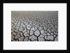 Dry Lake Bed at the Booby Pond Nature Reserve by Anonymous