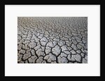 Dry Lake Bed at the Booby Pond Nature Reserve by Anonymous