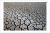 Dry Lake Bed at the Booby Pond Nature Reserve by Anonymous