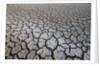 Dry Lake Bed at the Booby Pond Nature Reserve by Anonymous