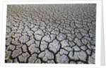 Dry Lake Bed at the Booby Pond Nature Reserve by Anonymous