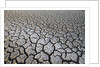 Dry Lake Bed at the Booby Pond Nature Reserve by Anonymous