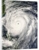 Typhoon Krosa Headed Toward Taiwan by Anonymous