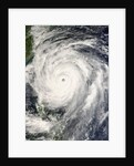 Typhoon Krosa Headed Toward Taiwan by Anonymous