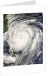 Typhoon Krosa Headed Toward Taiwan by Anonymous