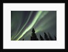 Northern Lights over Boreal Forest by Anonymous