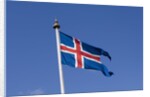 Flag of Iceland by Anonymous