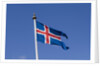 Flag of Iceland by Anonymous