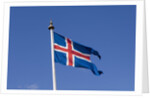 Flag of Iceland by Anonymous