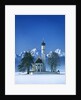 St. Coloman Church in Bavaria by Anonymous