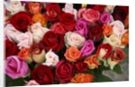 Roses for Sale at Flower Market by Anonymous