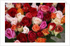Roses for Sale at Flower Market by Anonymous