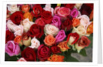 Roses for Sale at Flower Market by Anonymous