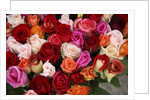 Roses for Sale at Flower Market by Anonymous