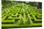 Knot Garden by Anonymous