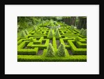 Knot Garden by Anonymous