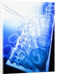 Test Tubes in Tray by Anonymous