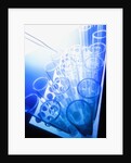 Test Tubes in Tray by Anonymous