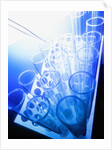 Test Tubes in Tray by Anonymous