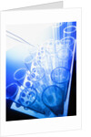 Test Tubes in Tray by Anonymous