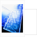 Test Tubes in Tray by Anonymous