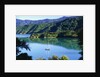 Marlborough Sound in New Zealand by Anonymous