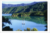 Marlborough Sound in New Zealand by Anonymous