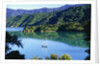 Marlborough Sound in New Zealand by Anonymous