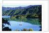 Marlborough Sound in New Zealand by Anonymous