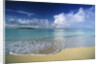 Beach in Fiji by Anonymous