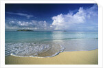Beach in Fiji by Anonymous