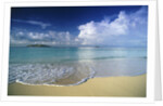 Beach in Fiji by Anonymous