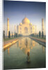 Taj Mahal by Anonymous
