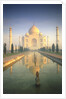 Taj Mahal by Anonymous