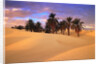 Sahara Desert in Tunisia by Anonymous