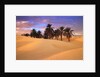 Sahara Desert in Tunisia by Anonymous