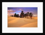 Sahara Desert in Tunisia by Anonymous