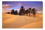 Sahara Desert in Tunisia by Anonymous